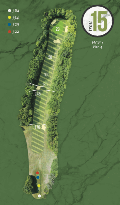 Plan du trou 15 du gold du Val de l'Indre à Villedieu-sur-Indre en région Centre-Val de Loire.